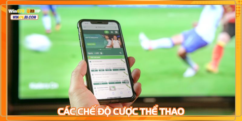 Nhiều hình thức cược trong trận đấu